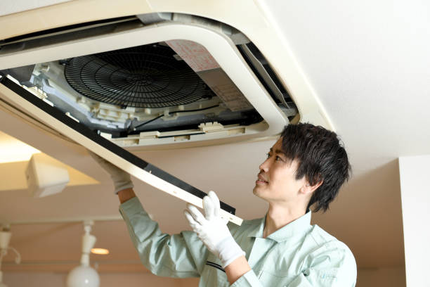Air Duct Mold Removal in Moundsville, WV